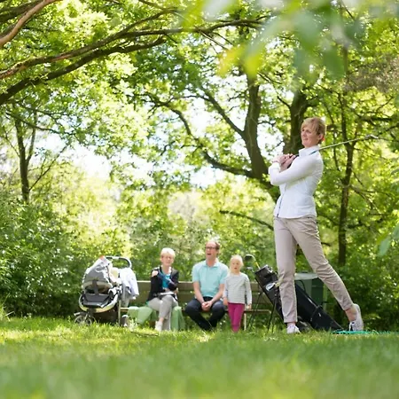 Lh841 Comfort 5p * America